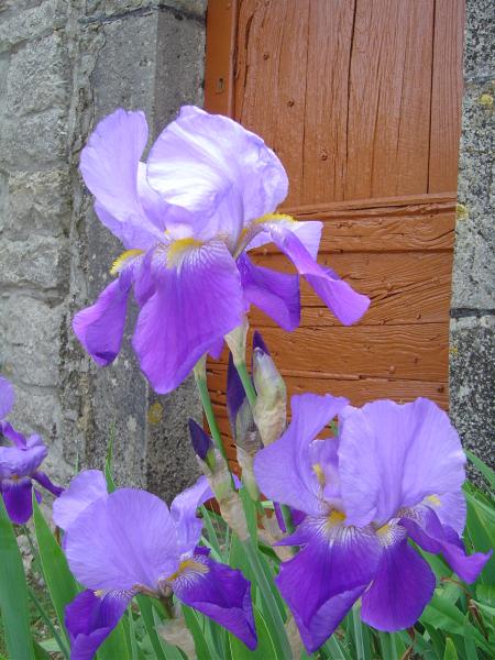 Mai 2007