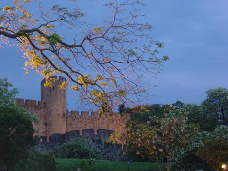 Carcasonne