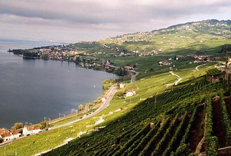 Suisse