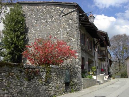 Suisse