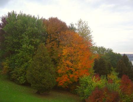 Plaines d'Abraham