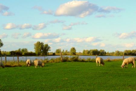 Bout de l'île Dupras